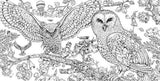 Coloriage Anti-Stress <br>Animaux pour Adulte - Shop Antistress