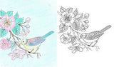 Coloriage Anti-Stress <br>Mandala Oiseau - Shop Antistress